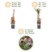 Green Boutiq - Vaccinium Cor. Pink Lemonade - Roze Bes - 2 Stuks - Ø 15 cm - 50 cm - Bivakshop