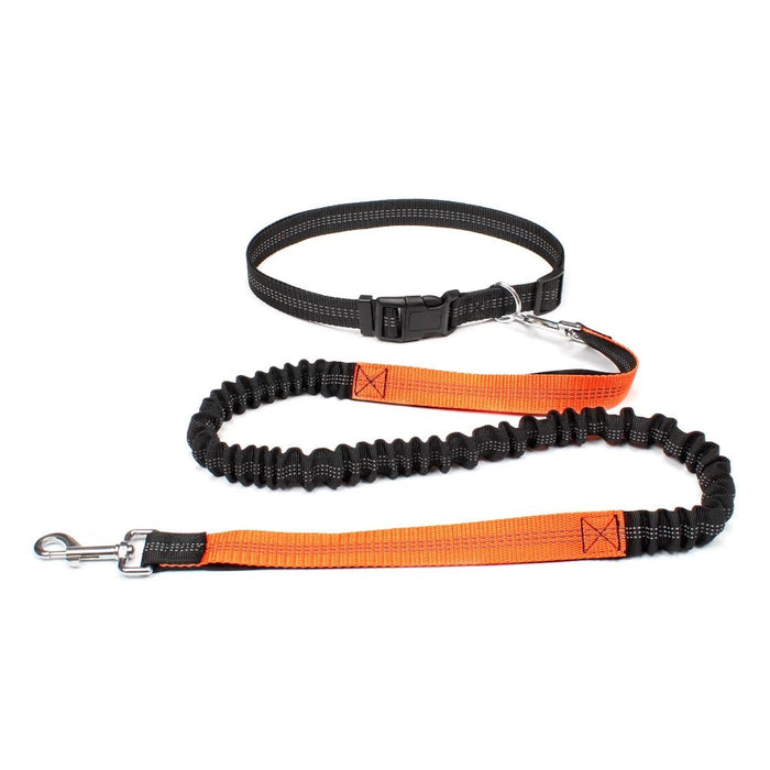 Handsfree Hondenriem – Verstelbare taille - en borstriem – Ideaal voor wandelen en joggen - Bivakshop