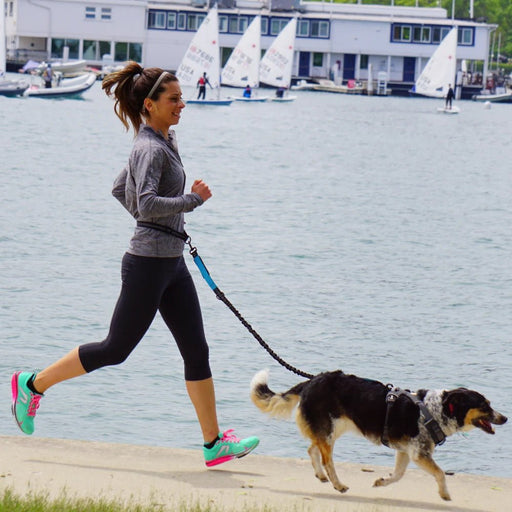 Handsfree Hondenriem – Verstelbare taille - en borstriem – Ideaal voor wandelen en joggen - Bivakshop