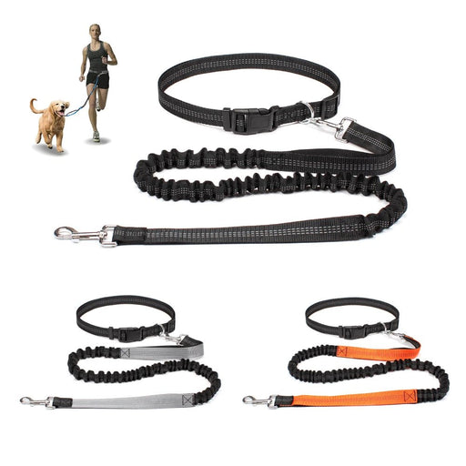 Handsfree Hondenriem – Verstelbare taille - en borstriem – Ideaal voor wandelen en joggen - Bivakshop