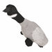 Happy Pet - Migrator Pluche Canadese Gans - Met Pieper - 38 cm - Bivakshop