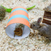 Happy Pet - Wilgen Value Pack - 2 Sticks & 2 Balls - Bivakshop