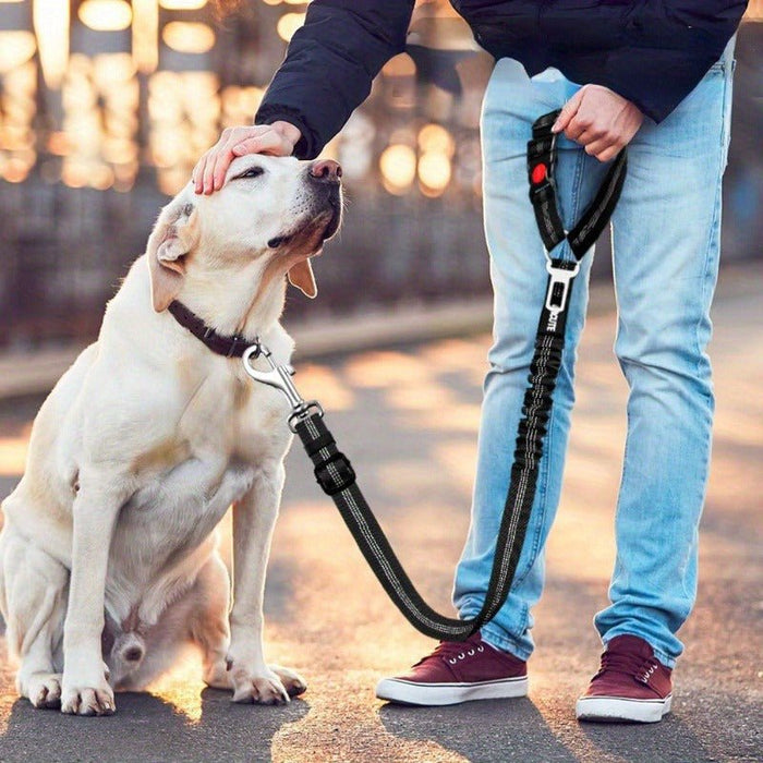 Honden autogordel – verstelbaar – elastisch & duurzaam nylon - Bivakshop