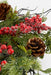 House of Seasons – Randell kerstkrans – Ø50 cm – Rood - Bivakshop