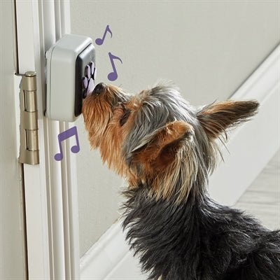 Hunger For Words - Talking Pet Doorbell - Interactieve Deurbel (10,2x19,1x4,1 cm) - Bivakshop