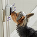 Hunger For Words - Talking Pet Doorbell - Interactieve Deurbel (10,2x19,1x4,1 cm) - Bivakshop