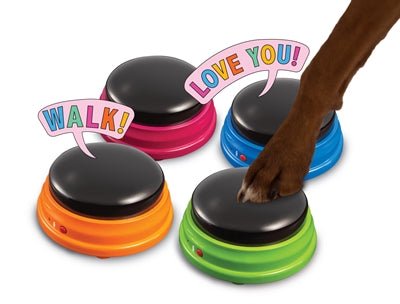 Hunger For Words - Talking Pet Starter Set - Interactief Communicatiesysteem - 4 Buttons - Bivakshop