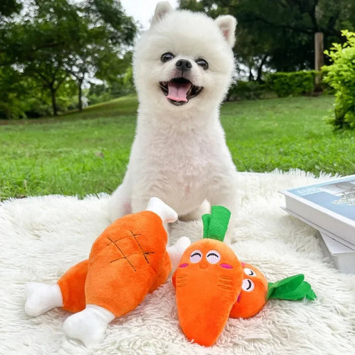 Interactief Pluche Hondenspeeltje – Met Piepgeluid – Geschikt voor Kleine en Middelgrote Honden - Bivakshop