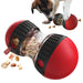 Interactieve voerpuzzelbal – IQ speelgoed voor langzame voeding van hond & kat - Bivakshop