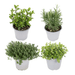 Italiaanse Kruidenmix – Set van 4 – Ø14 cm - Bivakshop