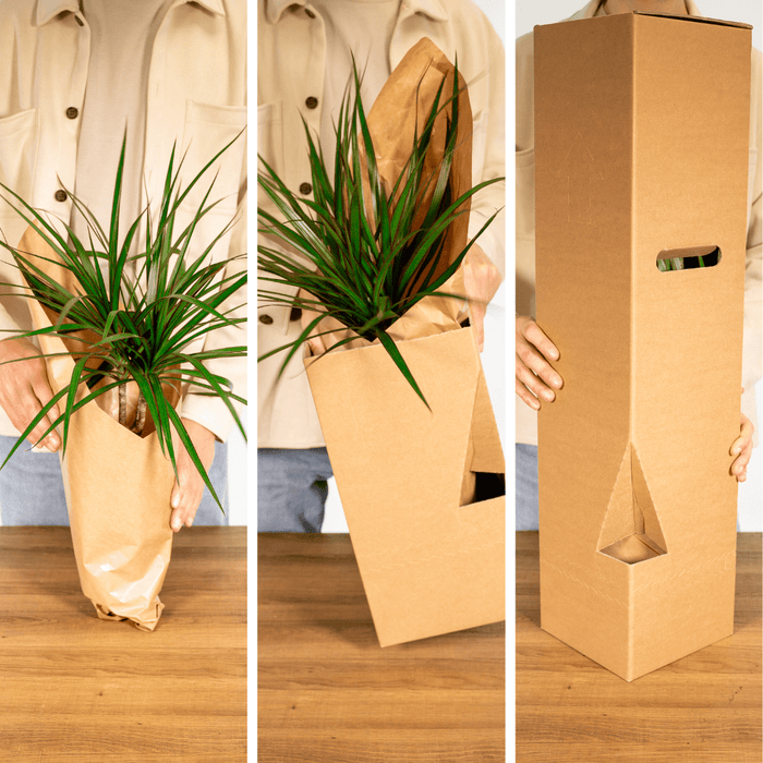 Italiaanse Kruidenmix – Set van 4 – Ø14 cm - Bivakshop
