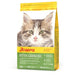 Josera - Kitten Grainfree - Kittens & Drachtige Katten - Kattenvoeding - 2 kg & 10 kg - Bivakshop
