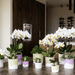 Kolibri Home – Bloom Sierpot Met Bloesemreliëf – Diverse Kleuren & Maten - Bivakshop