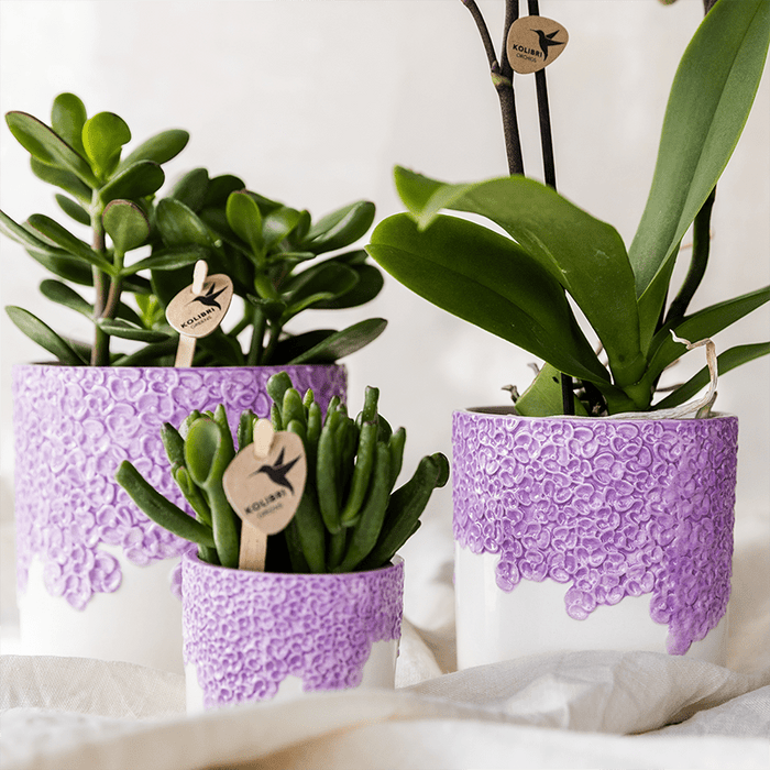 Kolibri Home – Bloom Sierpot Met Bloesemreliëf – Diverse Kleuren & Maten - Bivakshop