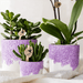Kolibri Home – Bloom Sierpot Met Bloesemreliëf – Diverse Kleuren & Maten - Bivakshop
