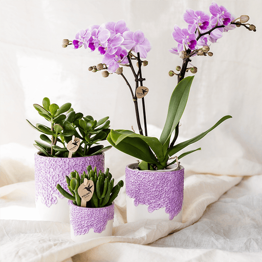 Kolibri Home – Bloom Sierpot Met Bloesemreliëf – Diverse Kleuren & Maten - Bivakshop