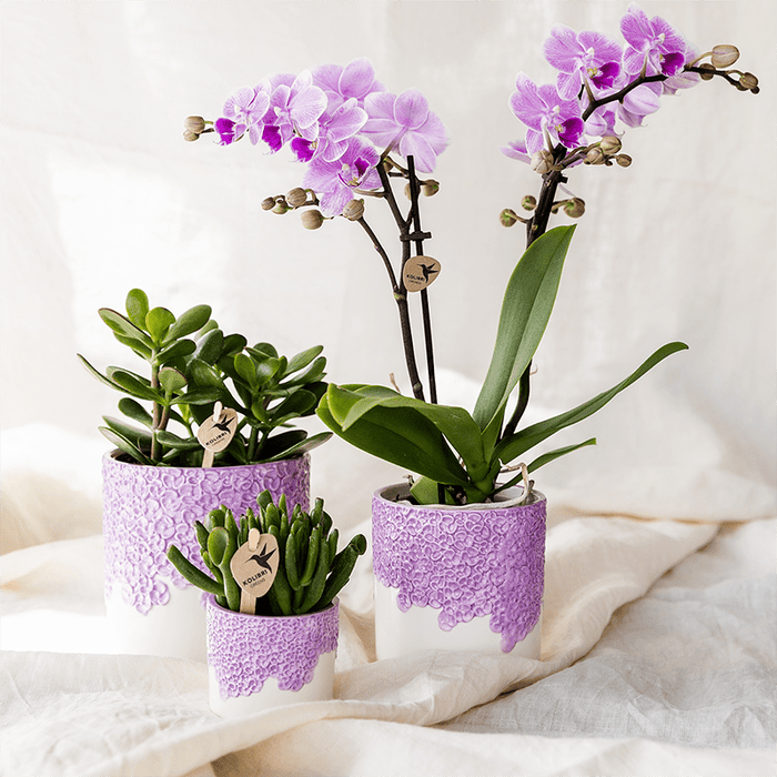 Kolibri Home – Bloom Sierpot Met Bloesemreliëf – Diverse Kleuren & Maten - Bivakshop