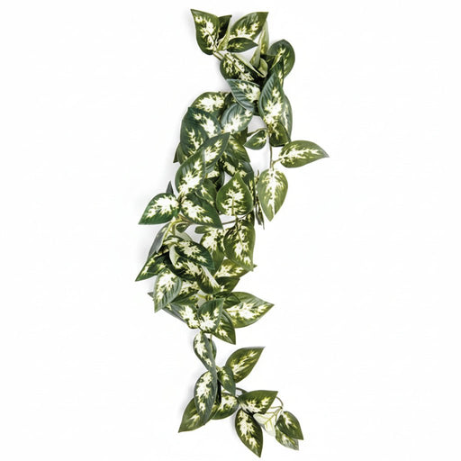 Komodo - Borneo Hangende Varen – Terrariumdecoratie – 40 cm - Bivakshop