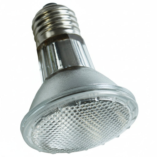 Komodo - Halogeen Spot Lamp – 50W – Intense Warmte & Licht - Bivakshop