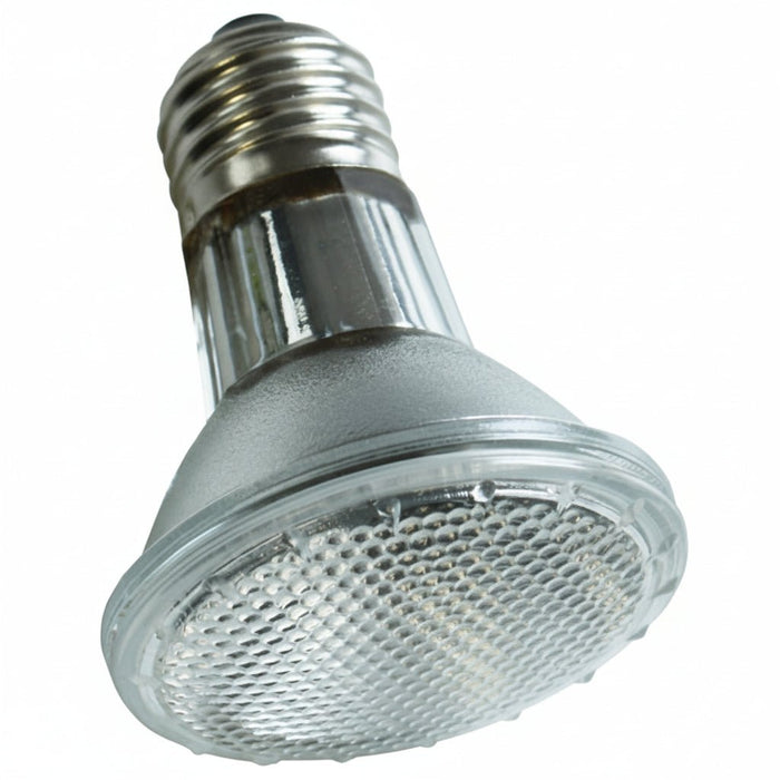 Komodo - Halogeen Spot Lamp – 50W – Intense Warmte & Licht - Bivakshop