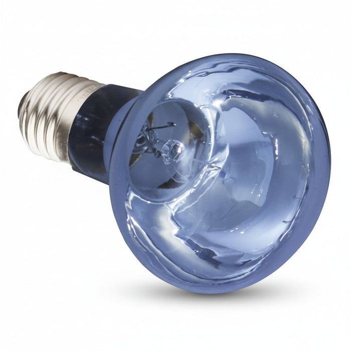 Komodo - Neodymium Daglicht Lamp – 50W & 75W – UVA & IRA - Bivakshop