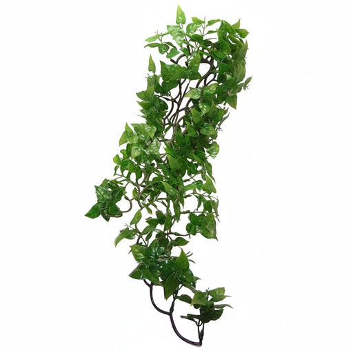 Komodo - Philodendron Hangplant – Terrariumdecoratie – 30 cm & 60 cm - Bivakshop