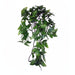 Komodo - Philodendron Hangplant – Terrariumdecoratie – 30 cm & 60 cm - Bivakshop
