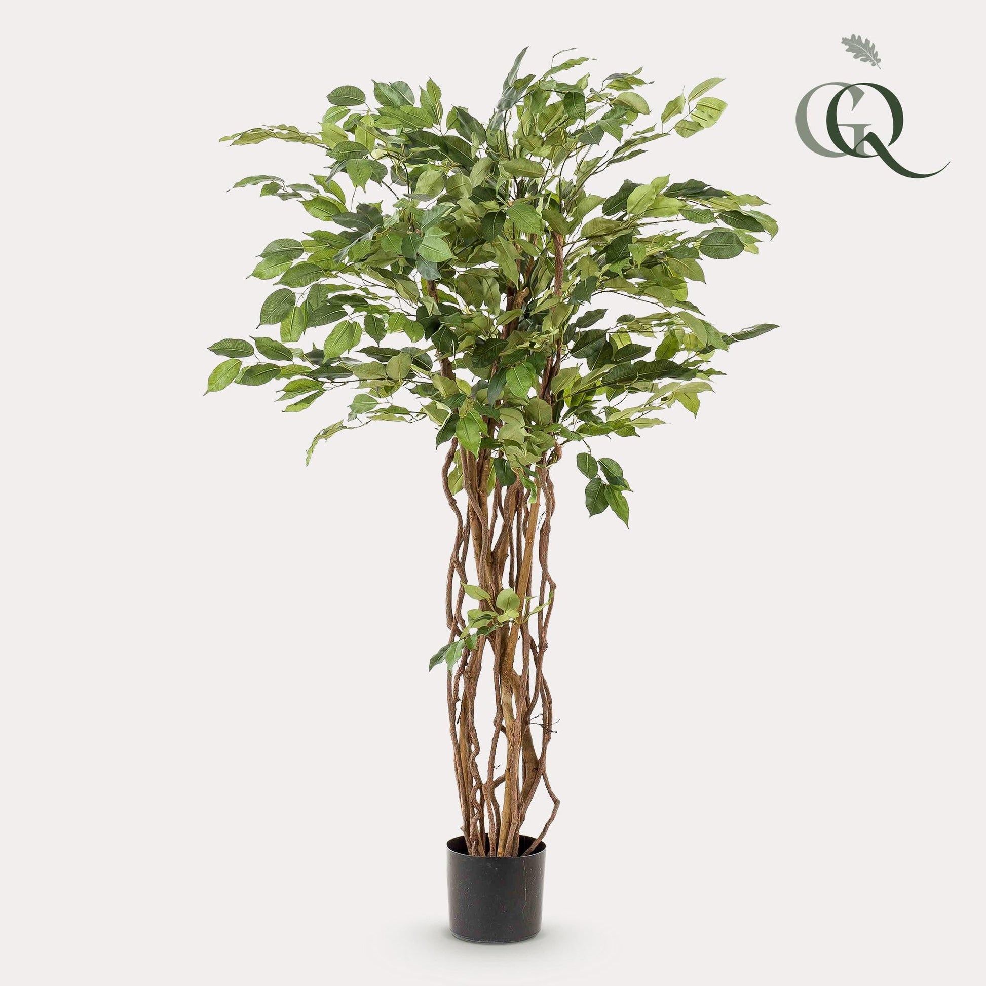 Kunstplant - Ficus Liana - Vioolbladplant - 140Cm - Bivakshop