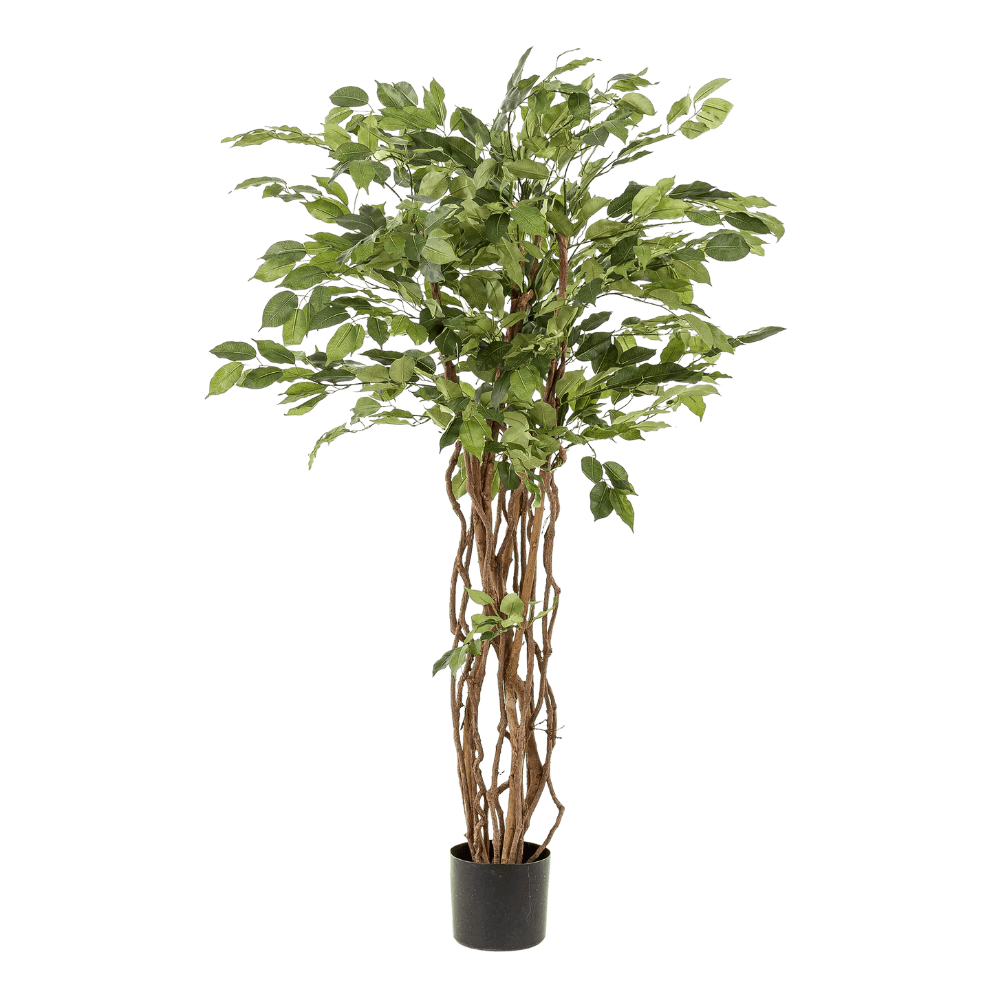 Kunstplant - Ficus Liana - Vioolbladplant - 140Cm - Bivakshop
