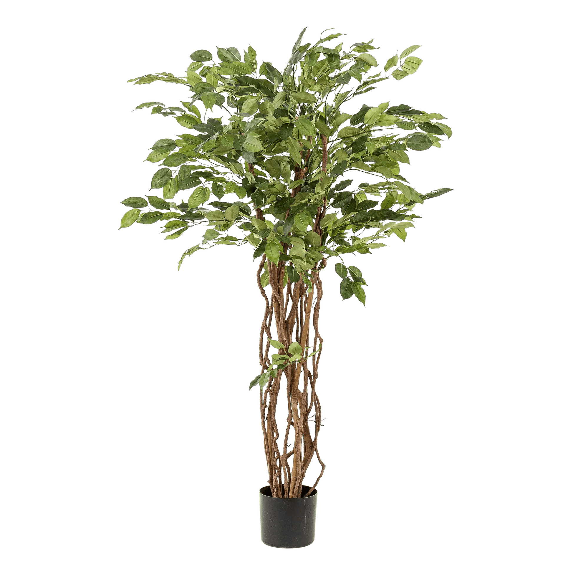 Kunstplant - Ficus Liana - Vioolbladplant - 140Cm - Bivakshop