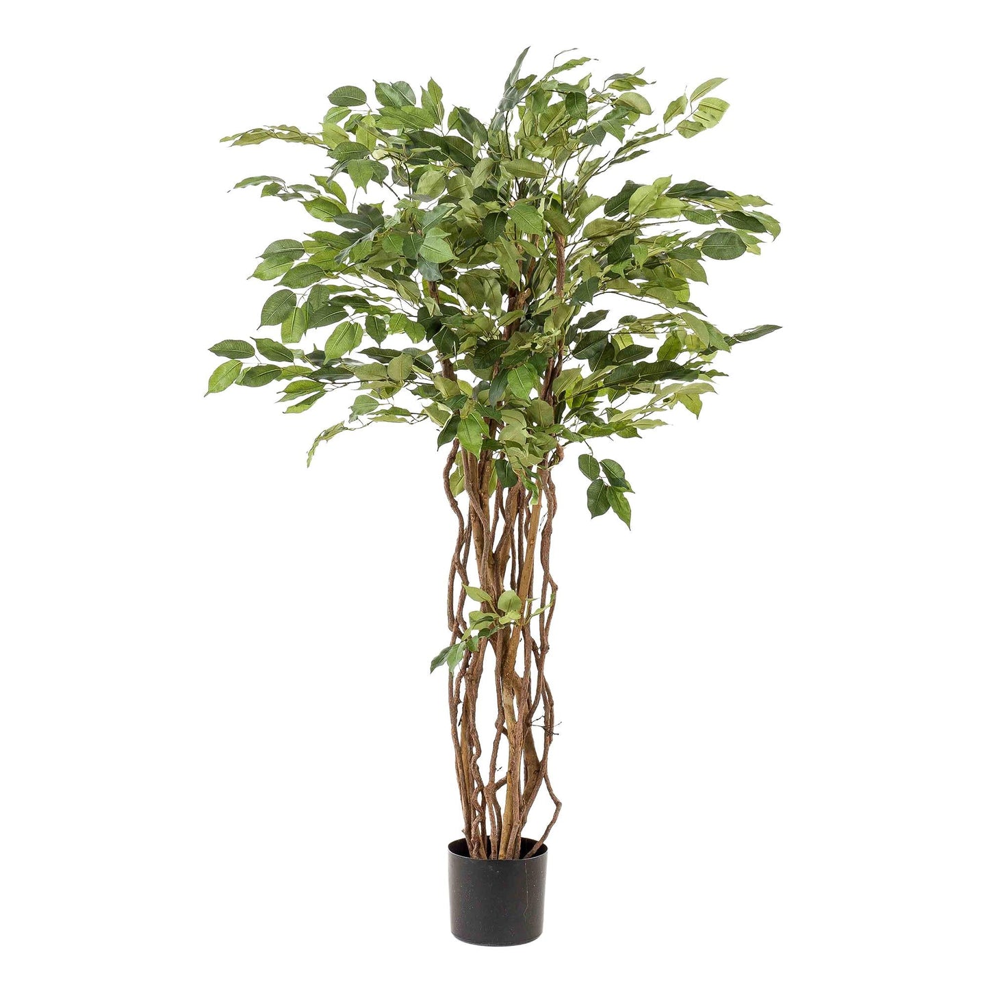 Kunstplant - Ficus Liana - Vioolbladplant - 140Cm - Bivakshop