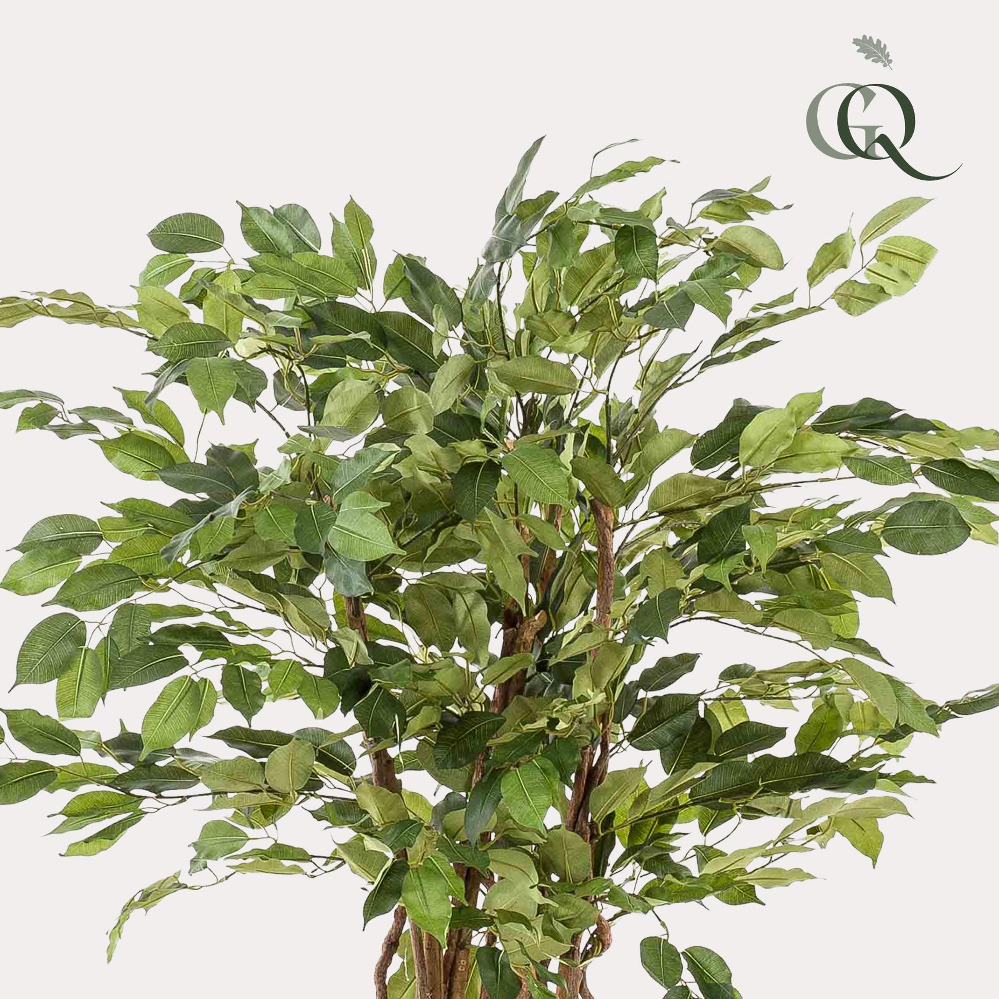 Kunstplant - Ficus Liana - Vioolbladplant - 140Cm - Bivakshop