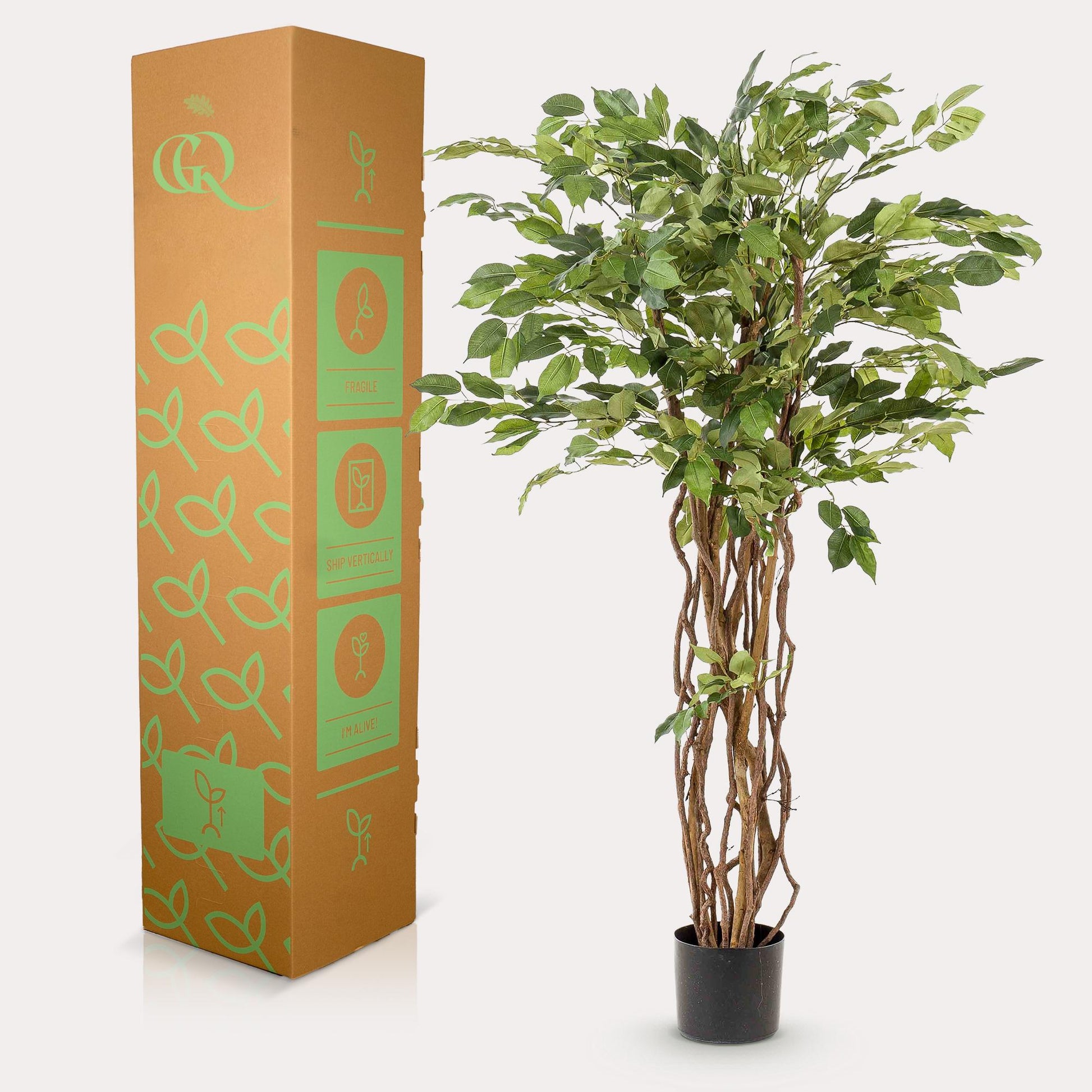 Kunstplant - Ficus Liana - Vioolbladplant - 140Cm - Bivakshop