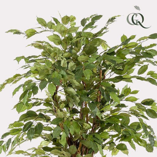 Green Boutiq Ficus Liana kunstplant 170 cm