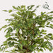 Green Boutiq Ficus Liana kunstplant 170 cm