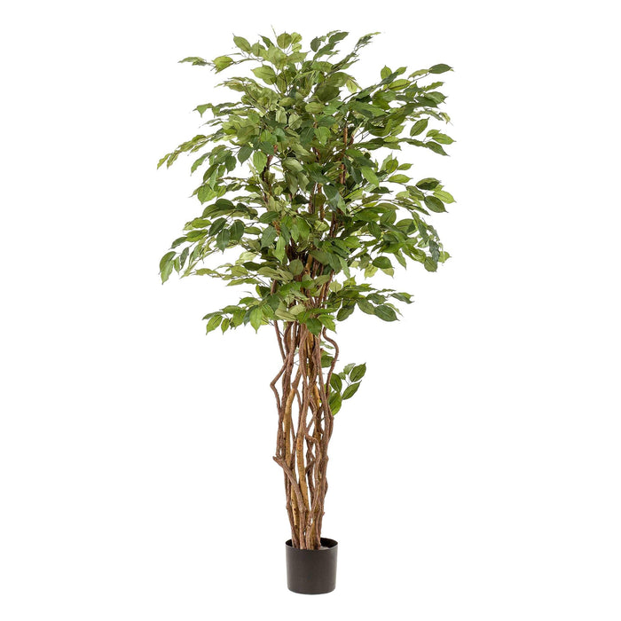 Green Boutiq Ficus Liana kunstplant 170 cm