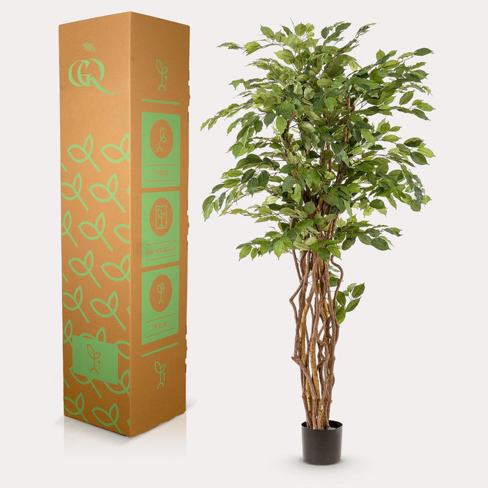 Green Boutiq Ficus Liana kunstplant 170 cm