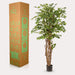 Green Boutiq Ficus Liana kunstplant 170 cm
