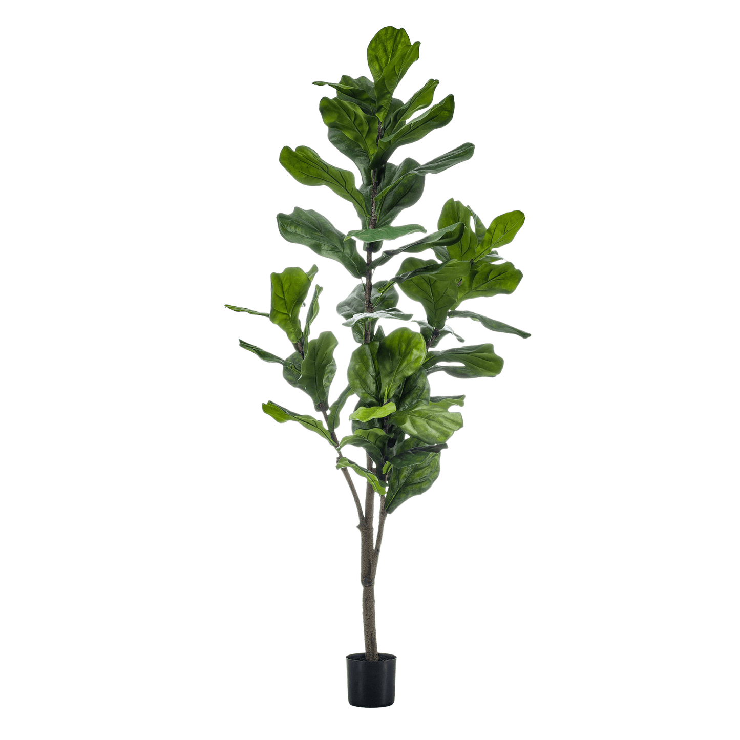 Kunstplant - Ficus Lyrata - Tabaksplant - 150Cm - Bivakshop