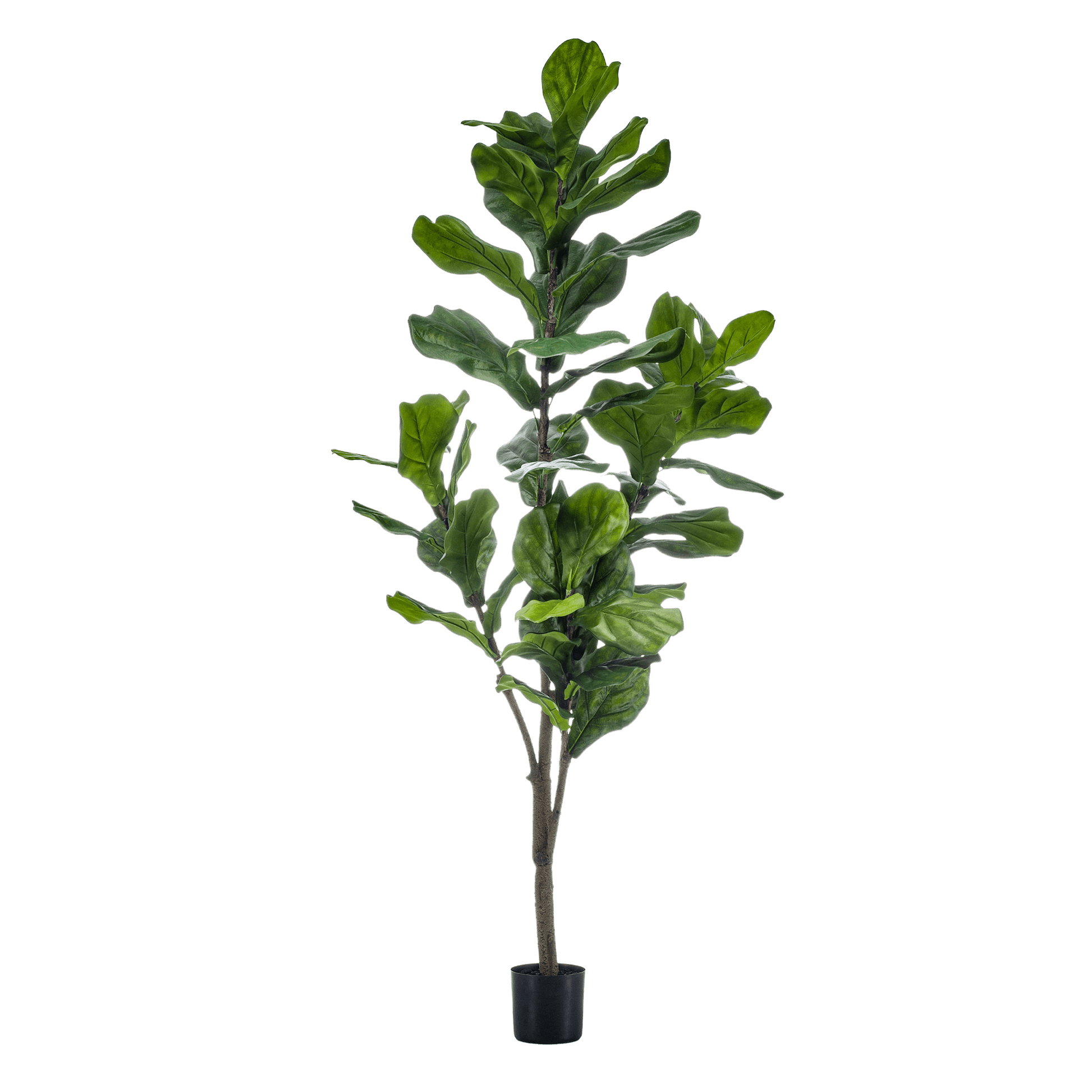 Kunstplant - Ficus Lyrata - Tabaksplant - 150Cm - Bivakshop