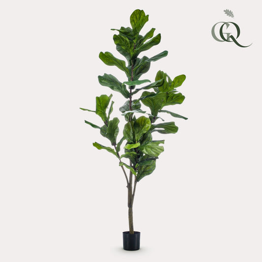 Kunstplant - Ficus Lyrata - Tabaksplant - 150Cm - Bivakshop