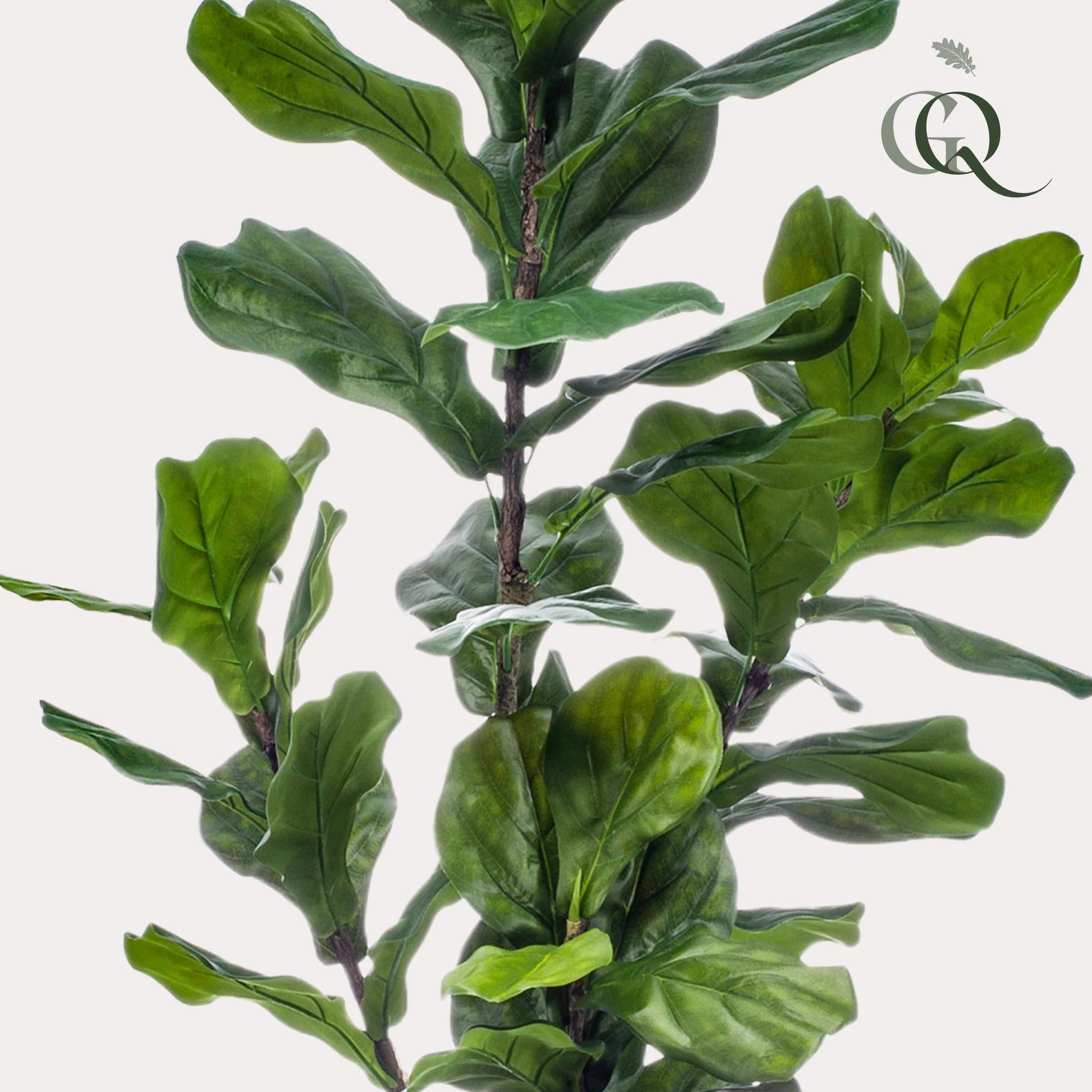 Kunstplant - Ficus Lyrata - Tabaksplant - 150Cm - Bivakshop