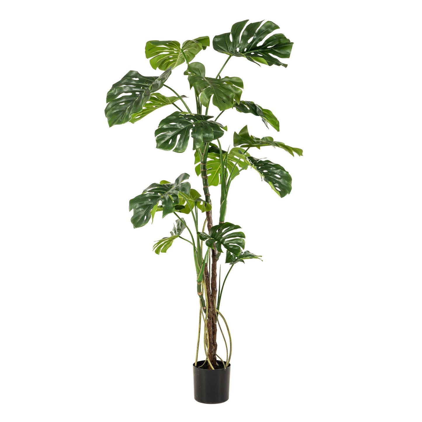 Kunstplant - Monstera - Gatenplant - 180Cm - Bivakshop