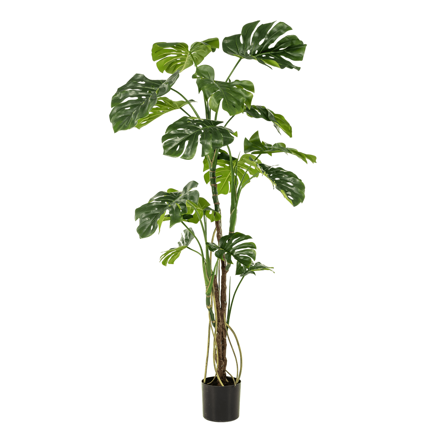 Kunstplant - Monstera - Gatenplant - 180Cm - Bivakshop