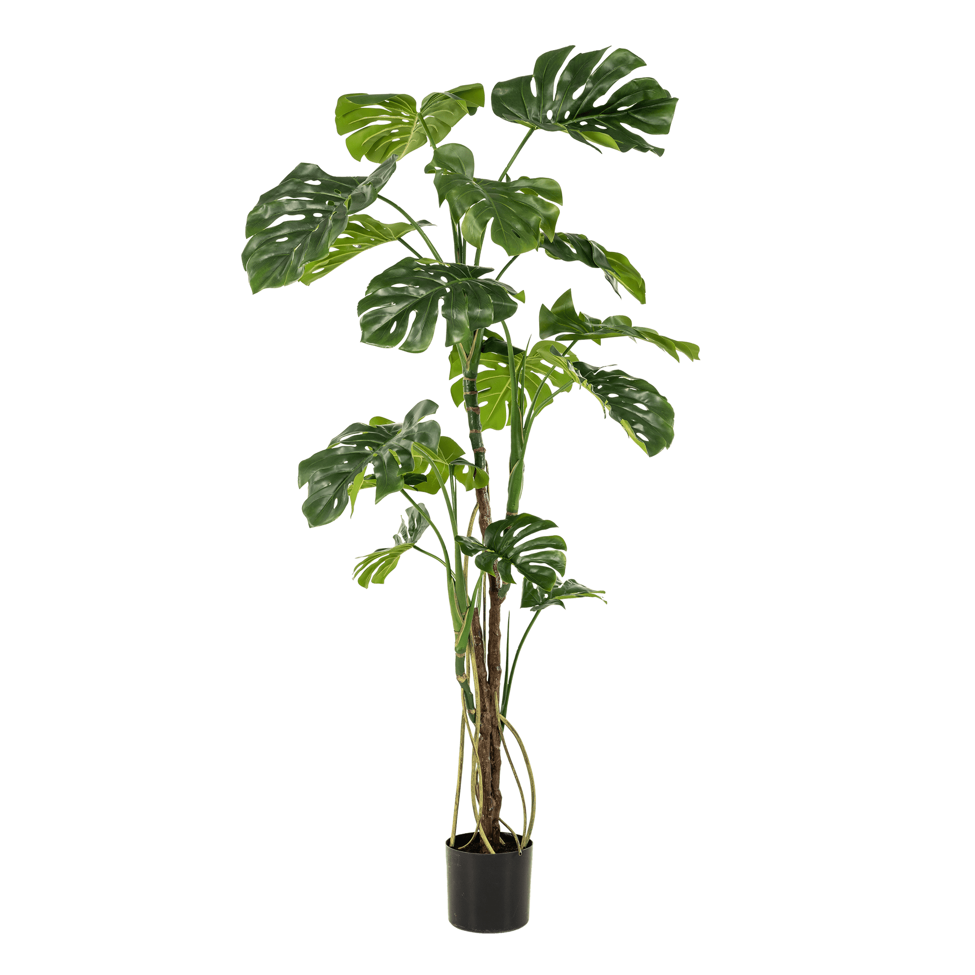 Kunstplant - Monstera - Gatenplant - 180Cm - Bivakshop