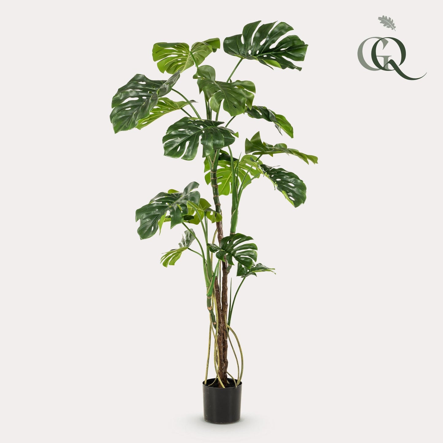 Kunstplant - Monstera - Gatenplant - 180Cm - Bivakshop