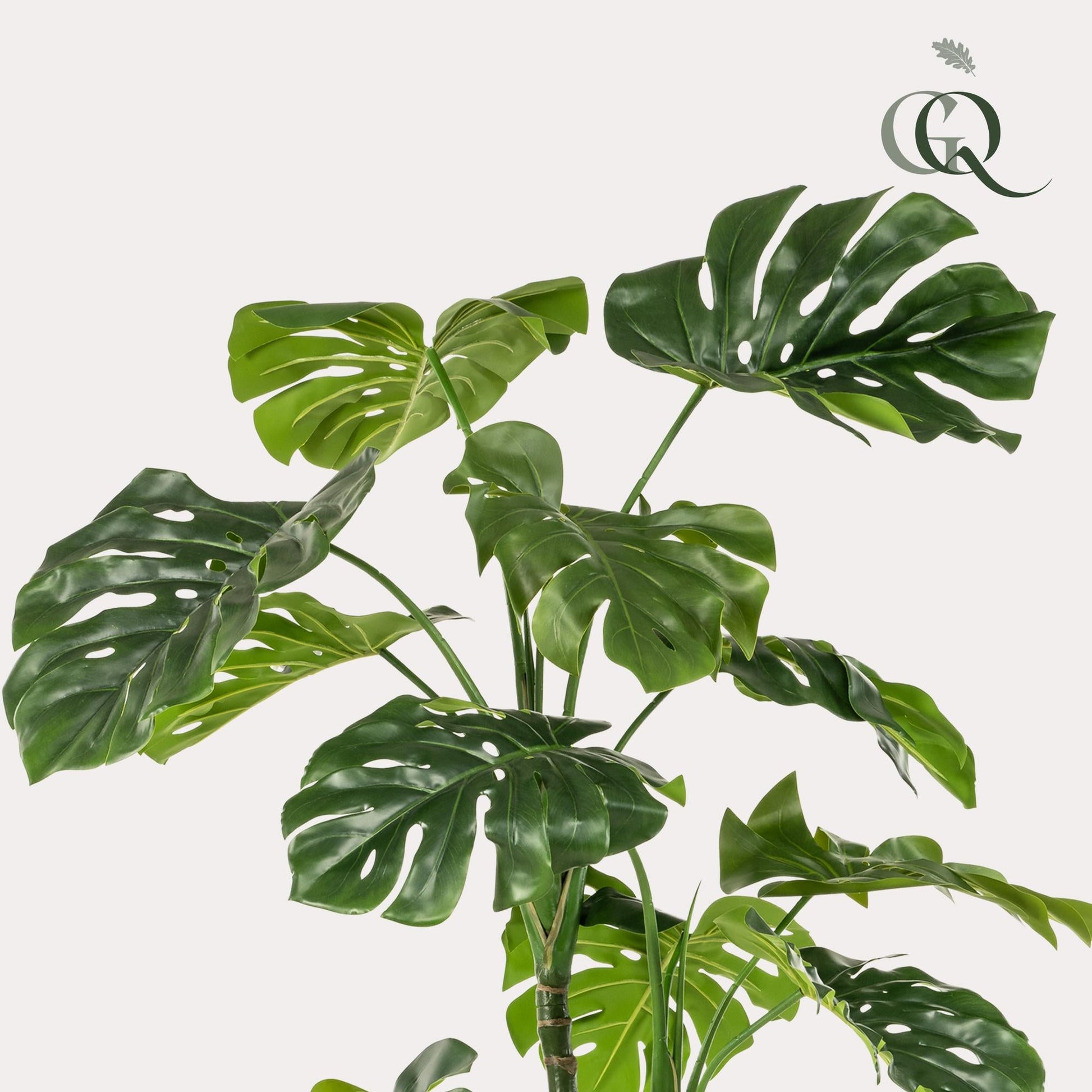 Kunstplant - Monstera - Gatenplant - 180Cm - Bivakshop