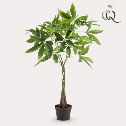 Kunstplant - Pachira Aquatica - Geldboom - 90Cm - Bivakshop