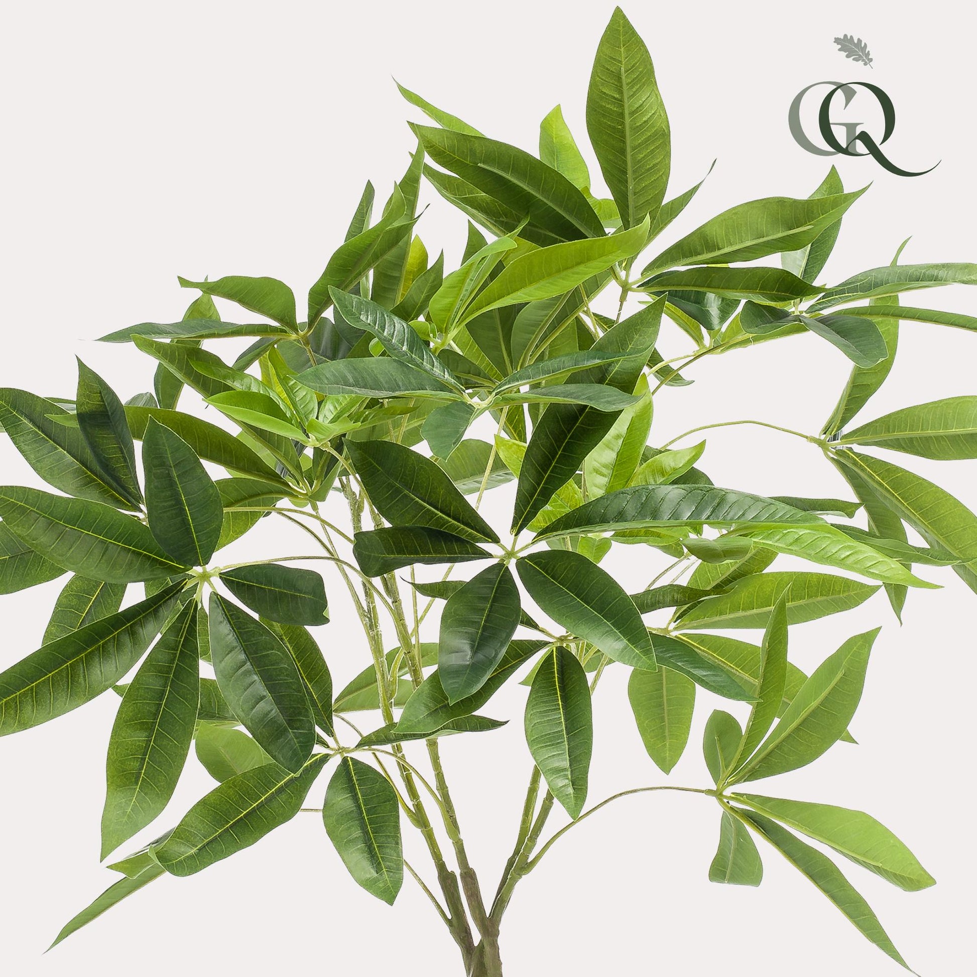 Kunstplant - Pachira Aquatica - Geldboom - 90Cm - Bivakshop