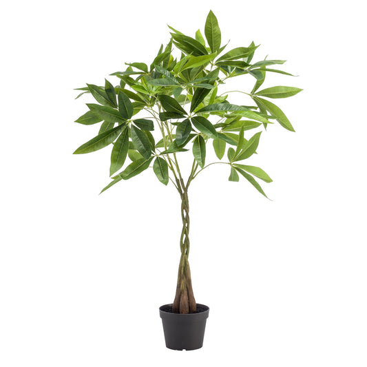 Kunstplant - Pachira Aquatica - Geldboom - 90Cm - Bivakshop